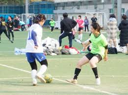 業內專家建